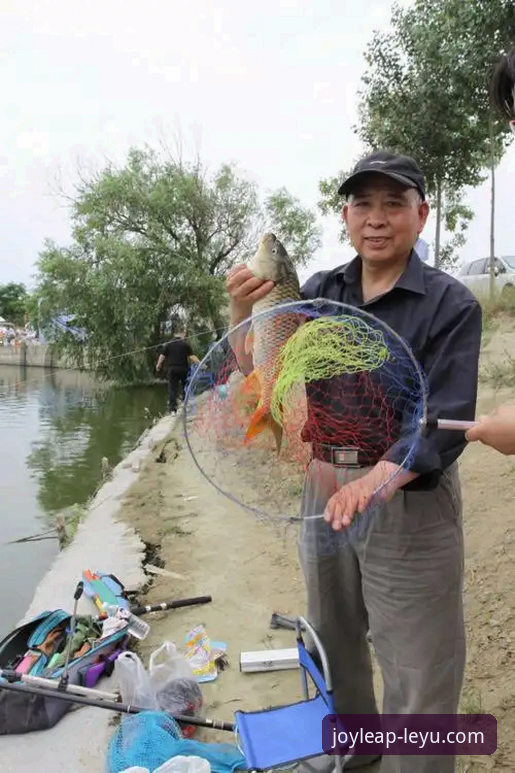 友谊赛的战术博弈 vs 乐鱼平台的观赛体验：哪个更值得新手关注？